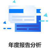 年度分析报告